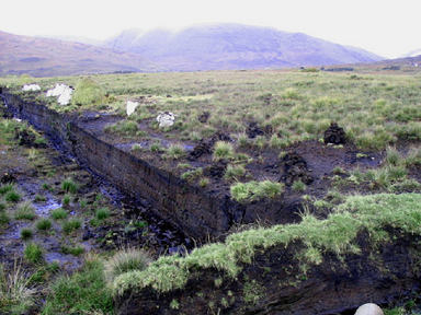 'Peat will only last another 25 years'