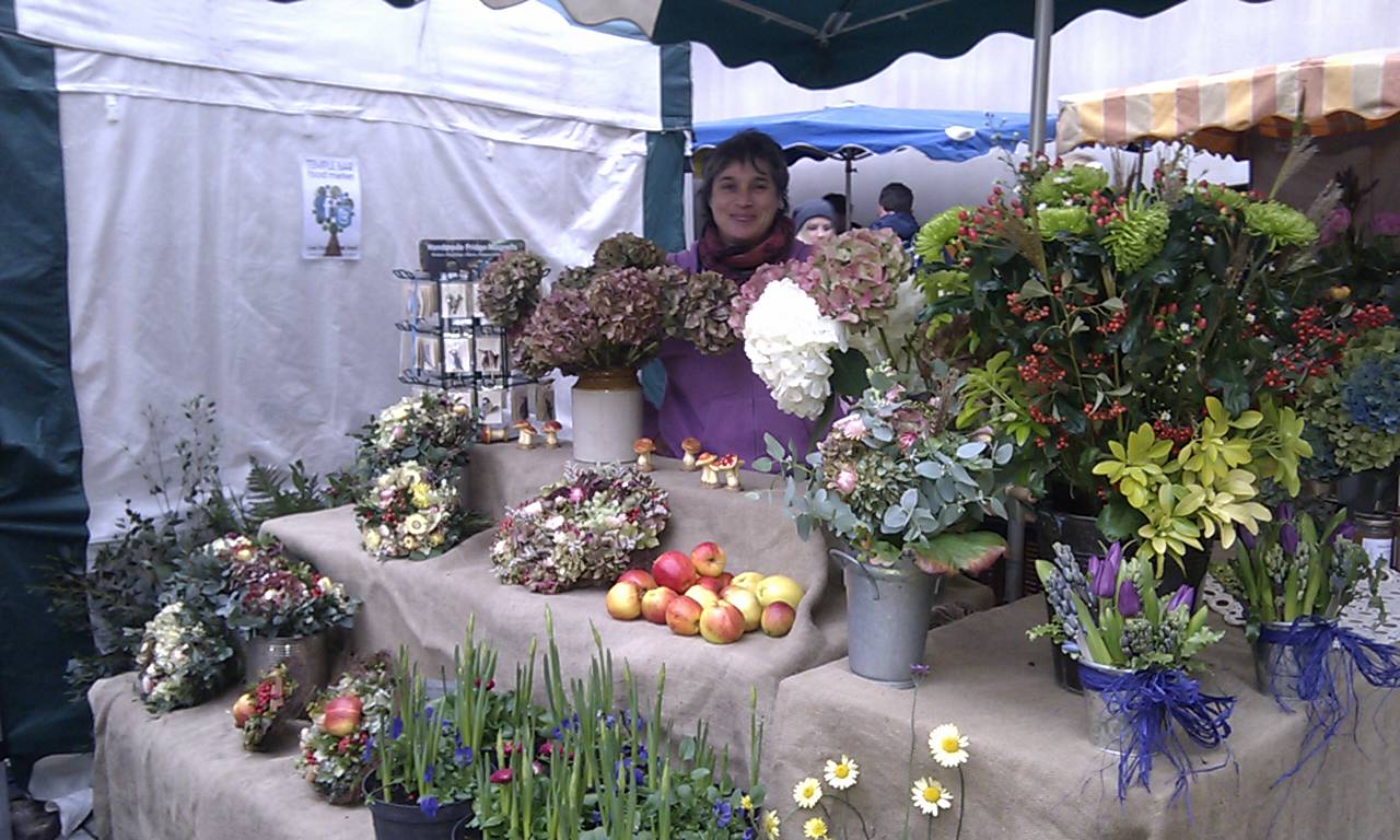 Judith Wolff Cut Flower & Foliage Producer at Temple Bar Market
