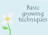 bordbia_basicgrowingtechniques