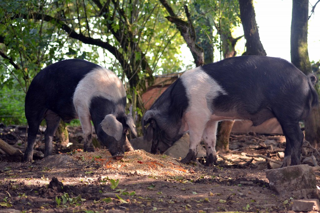 munching-1024x682