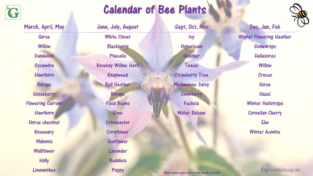 Bee-Calendar-of-Plants-1024x576