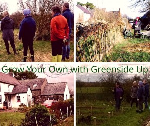 Grow-Your-Own-Garden-Workshop-at-Greenside-Up-300x251