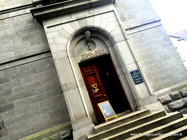 trinity-college-dublin-zoology-museum-17