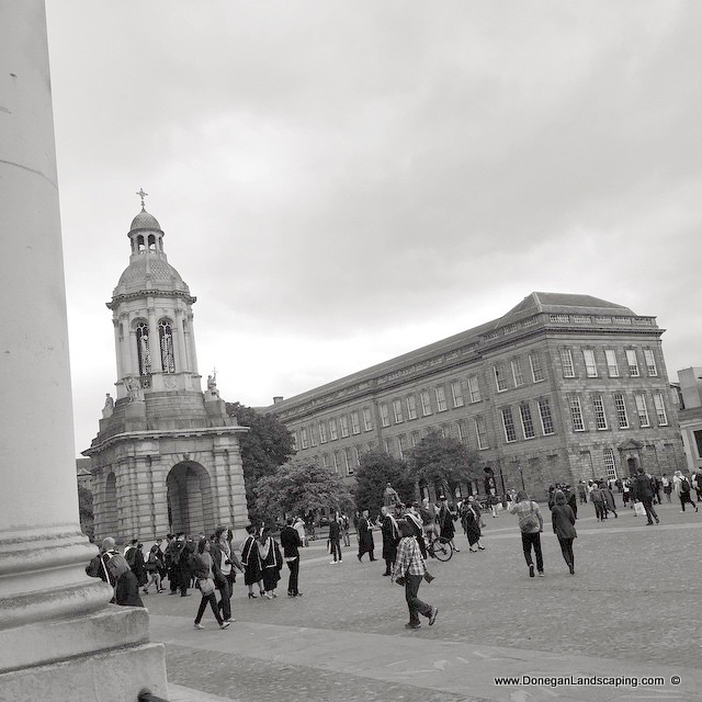 trinity-college-dublin